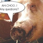 swine_flu_qa